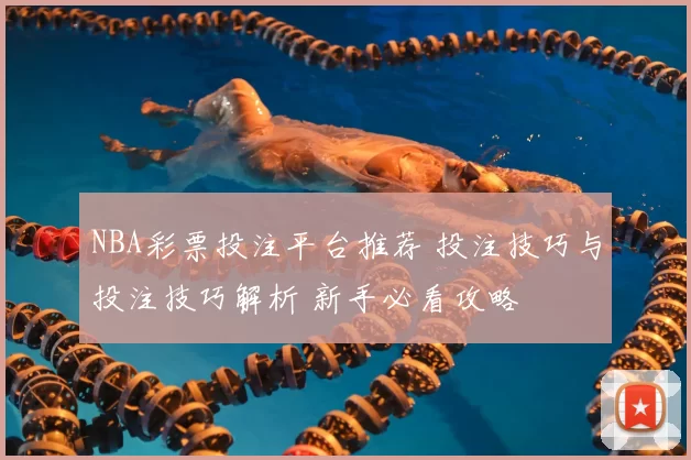 NBA彩票投注平台推荐 投注技巧与投注技巧解析 新手必看攻略