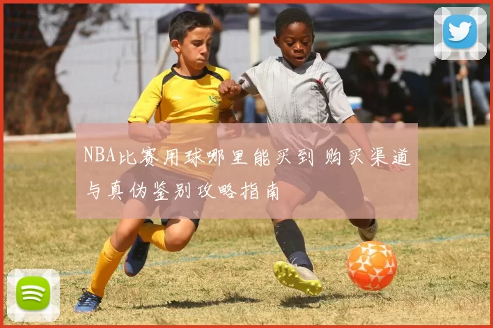 NBA比赛用球哪里能买到 购买渠道与真伪鉴别攻略指南