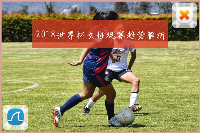 2018世界杯女性观赛趋势解析