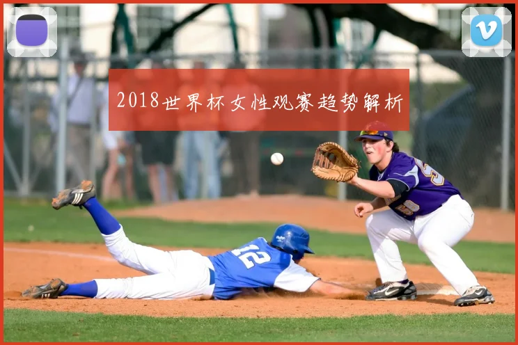2018世界杯女性观赛趋势解析
